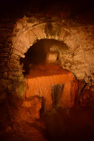 DSC_2646 (Large).JPG